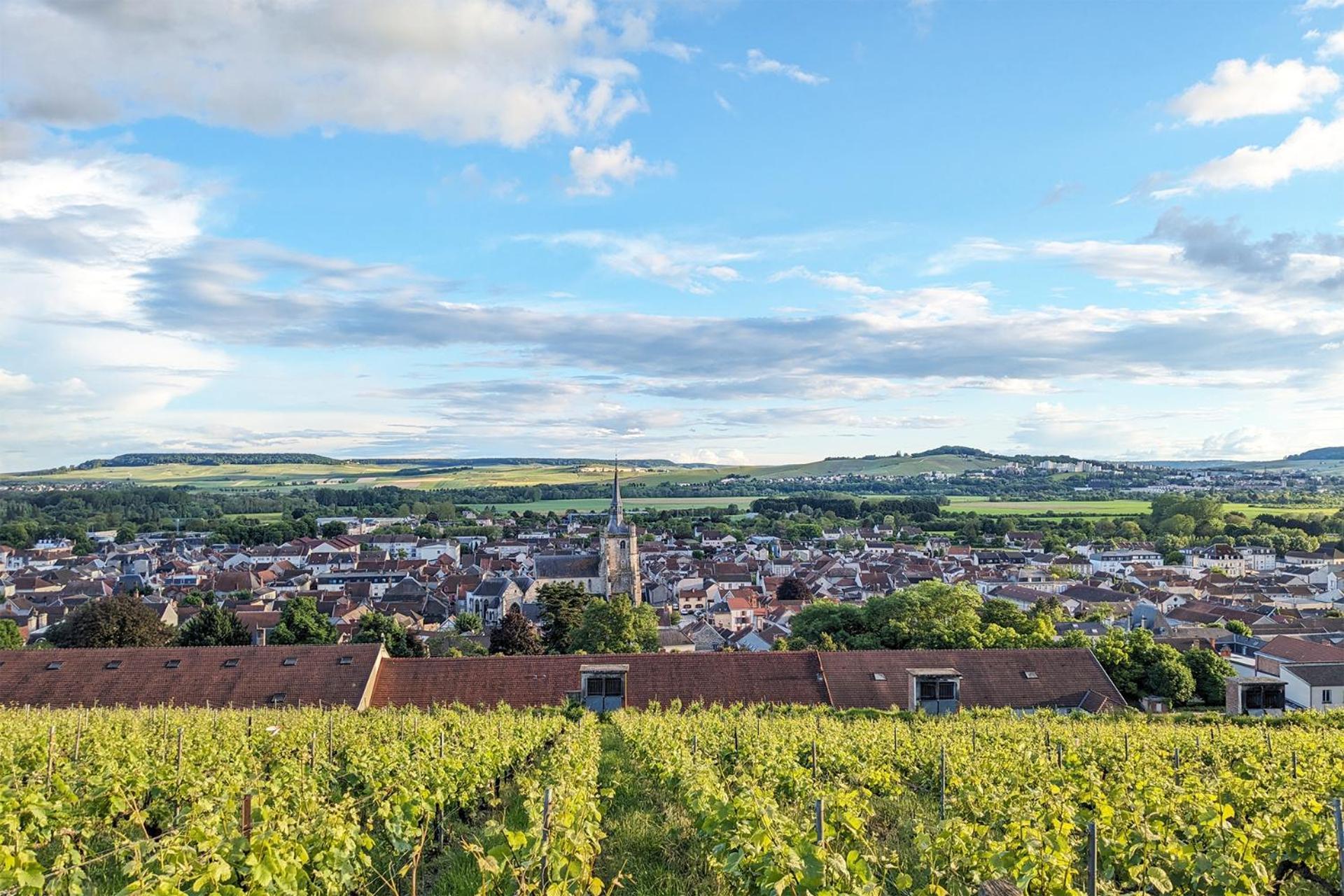 Maison A Deux Mains Ay-Champagne Kültér fotó